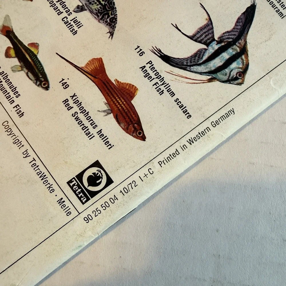 Vintage Aquarium Fish Hobbyist Book Manual Lot 1960s-70s Tetra Collectible‎ Gift